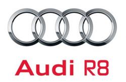 Audi R8/R10 Paint 60ml